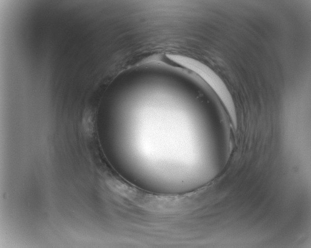 X0000070240037200606091346