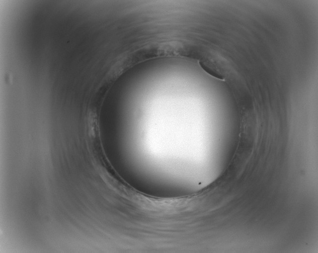 X0000070240038200606091346