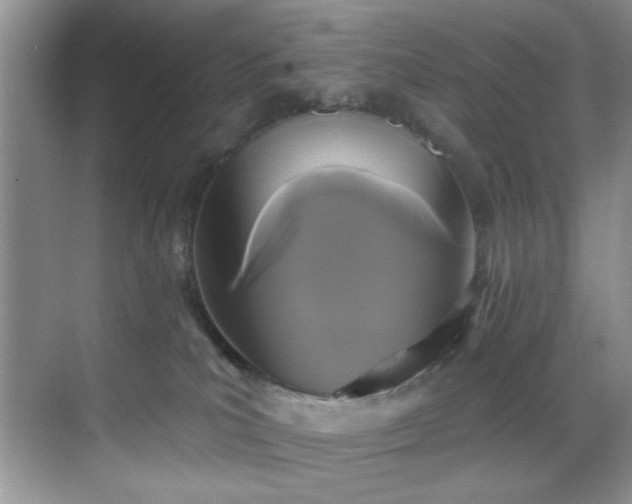 X0000070240039200606091346