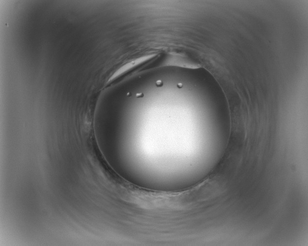 X0000070240040200606091346