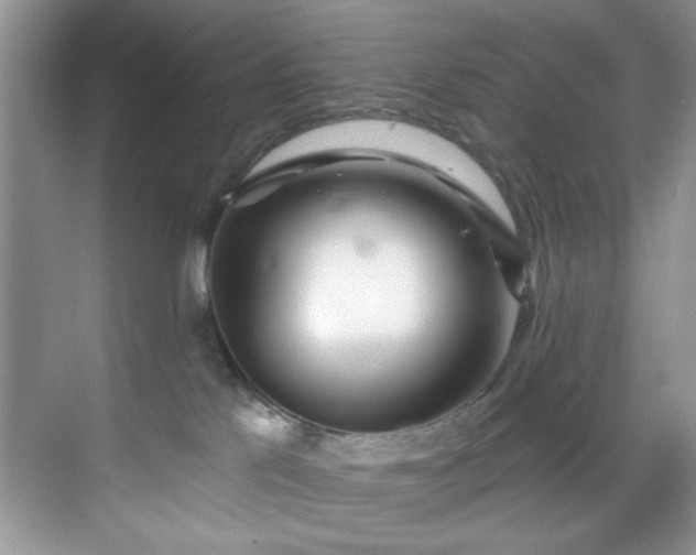 X0000070240041200606091346