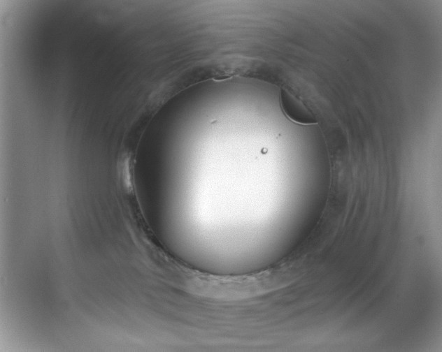 X0000070240042200606091346