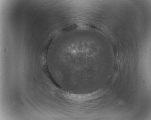 X0000070240043200606091346