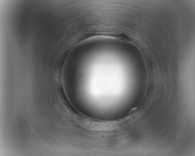 X0000070240044200606091346