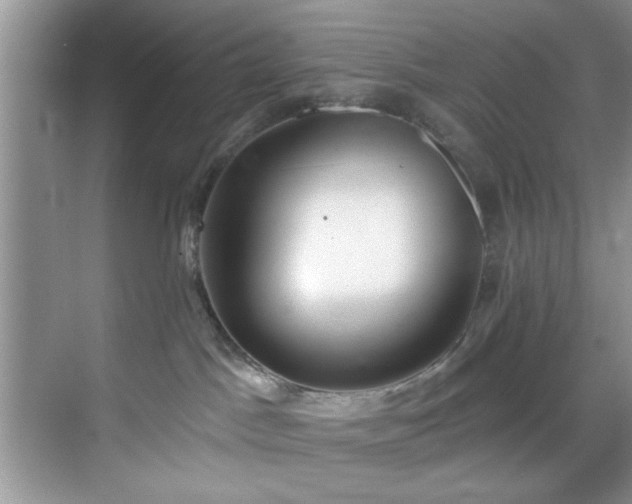 X0000070240045200606091346