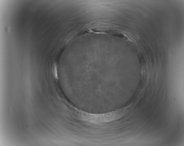 X0000070240046200606091346