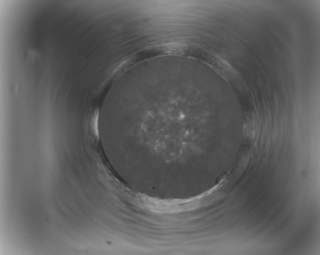 X0000070240047200606091346