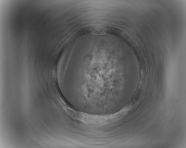 X0000070240048200606091346