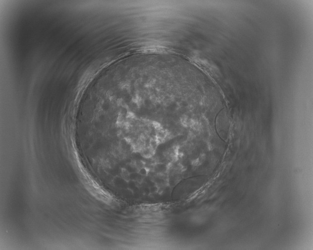 X0000070240049200606091345