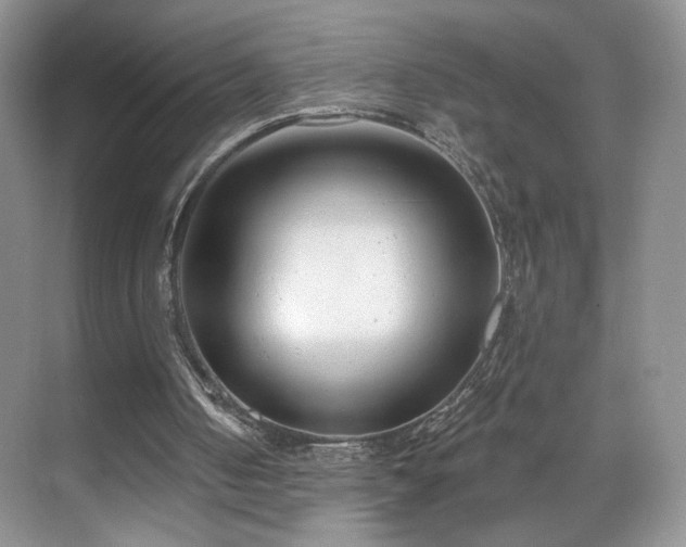 X0000070240050200606091345