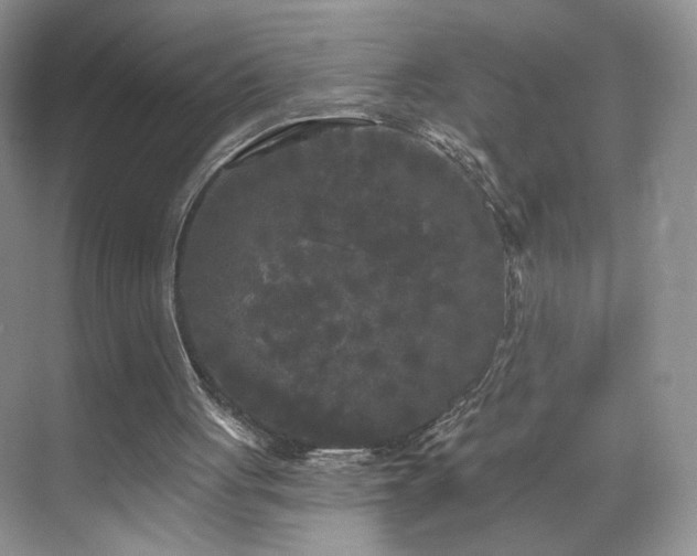 X0000070240051200606091345