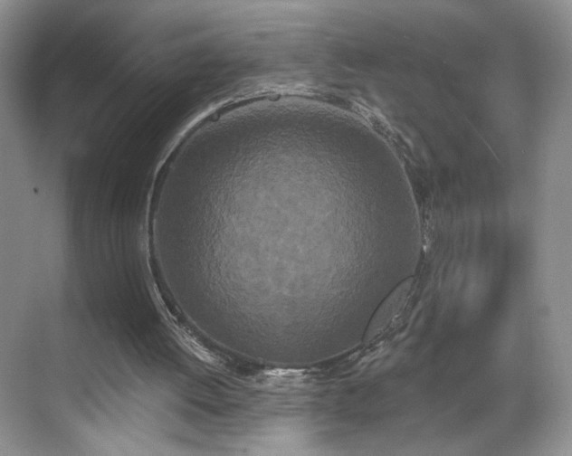 X0000070240052200606091345