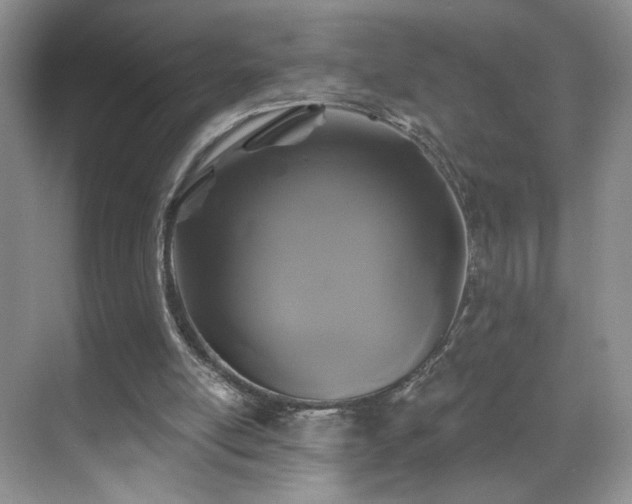 X0000070240054200606091345