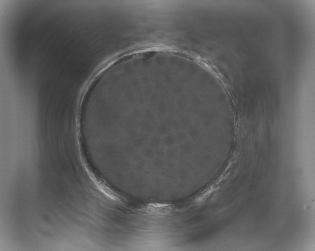 X0000070240055200606091345