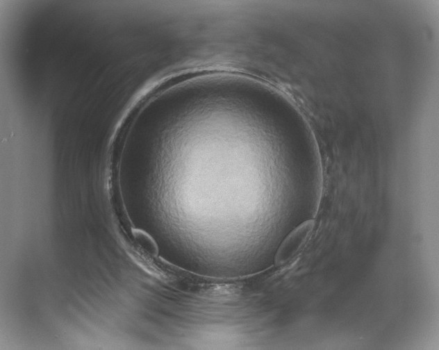 X0000070240056200606091345