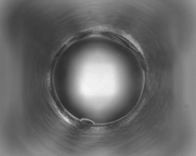 X0000070240057200606091345