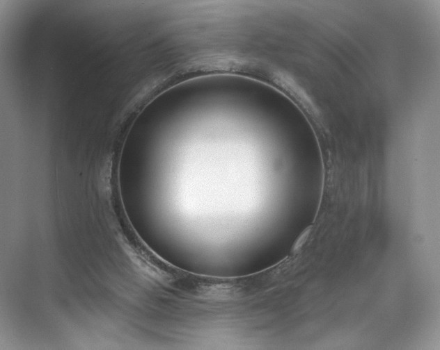 X0000070240058200606091345