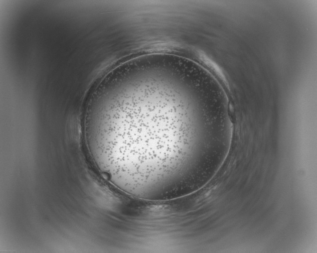 X0000070240059200606091345