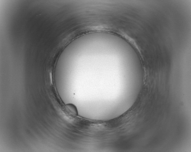 X0000070240061200606091345