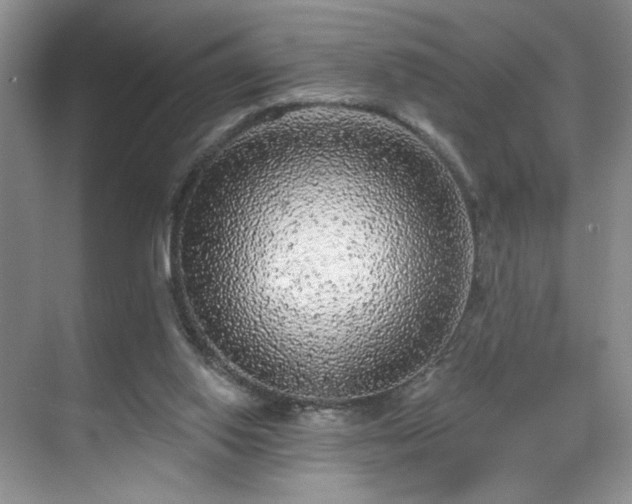 X0000070240062200606091345