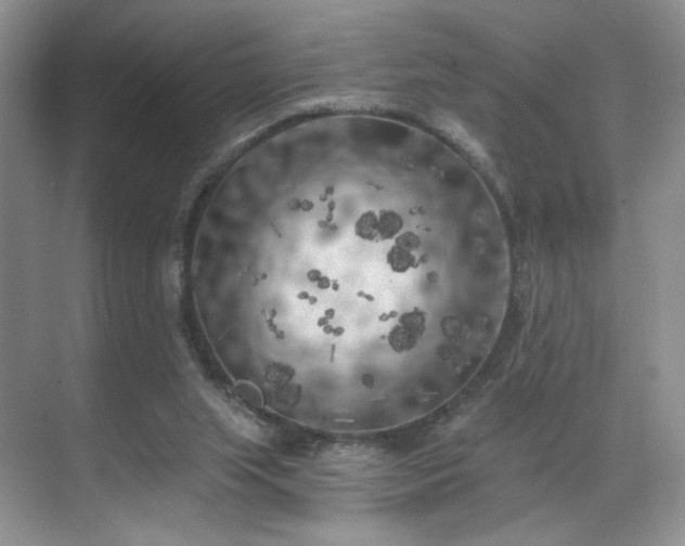 X0000070240063200606091345