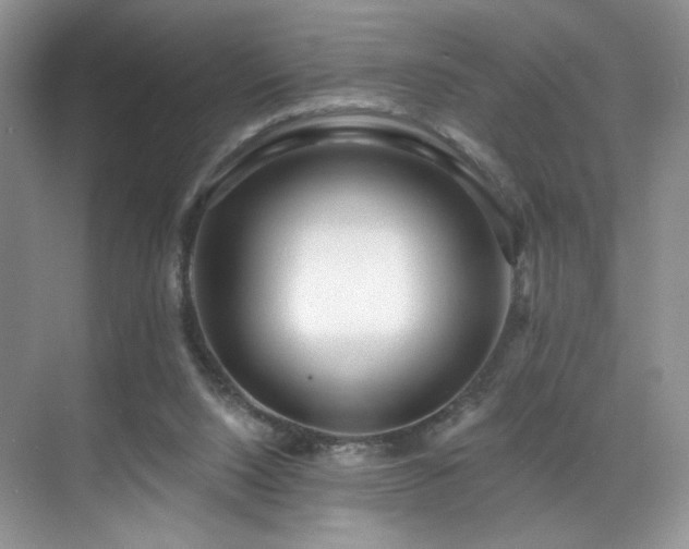 X0000070240064200606091345