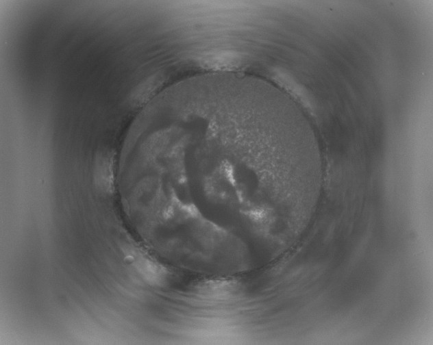 X0000070240065200606091345