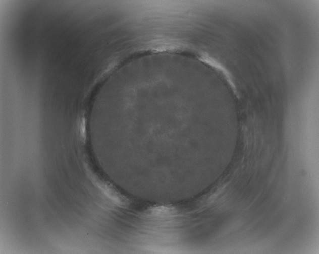 X0000070240067200606091345