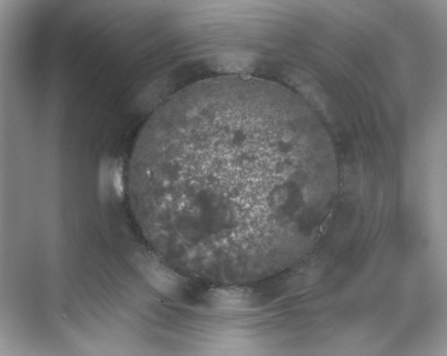 X0000070240069200606091345