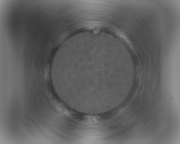 X0000070240073200606091345