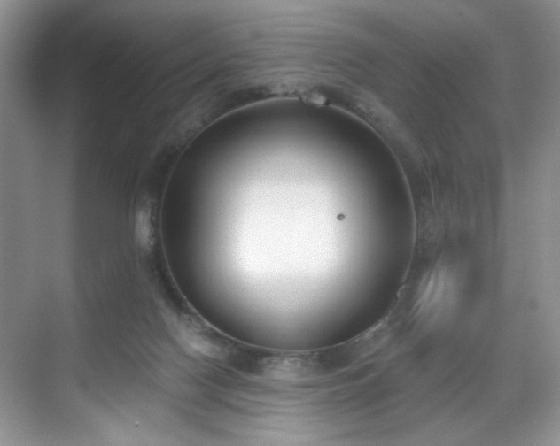 X0000070240074200606091345