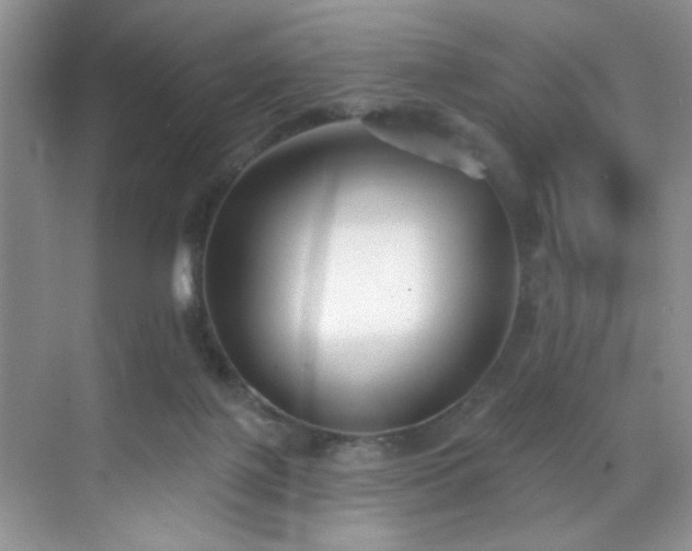 X0000070240075200606091345