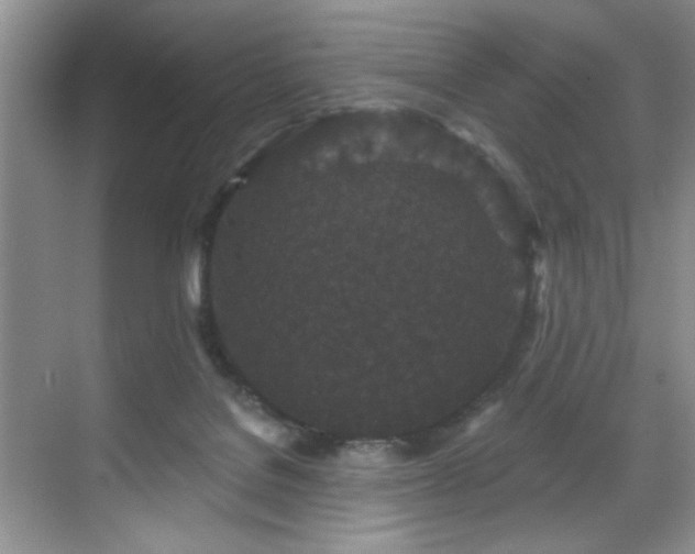 X0000070240076200606091345