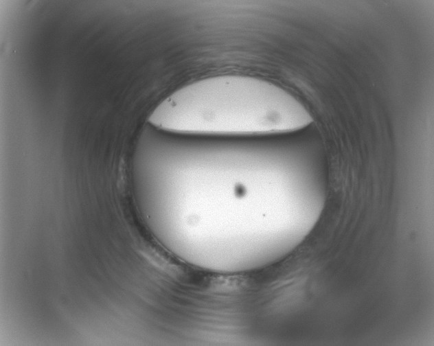 X0000070240077200606091346