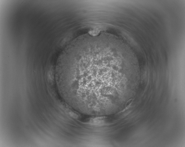 X0000070240078200606091346