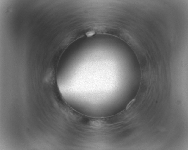 X0000070240079200606091346