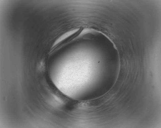 X0000070240080200606091346