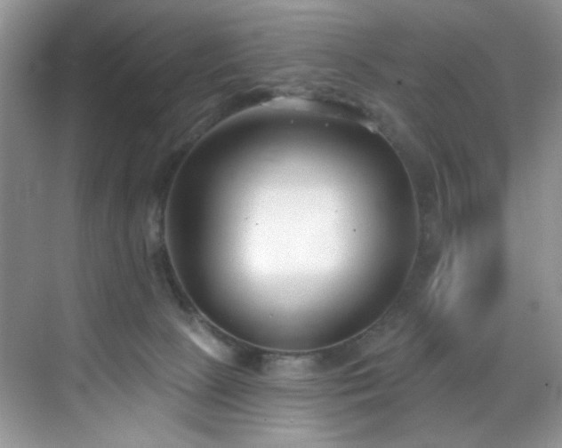 X0000070240081200606091346