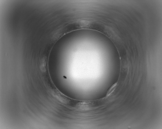 X0000070240082200606091346