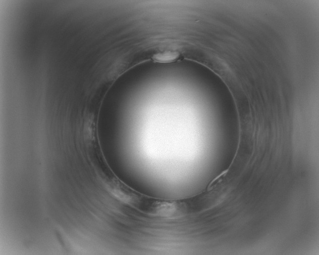 X0000070240083200606091346