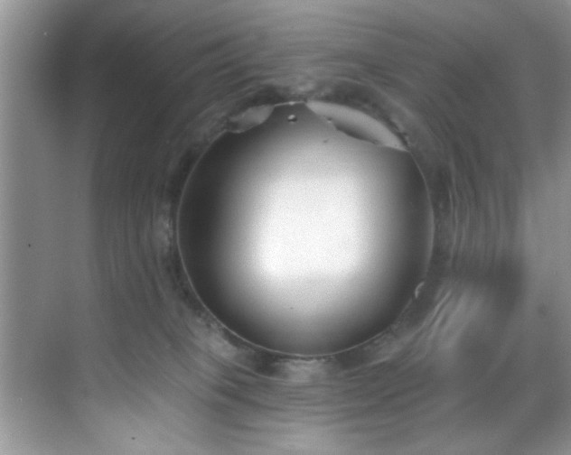 X0000070240085200606091346