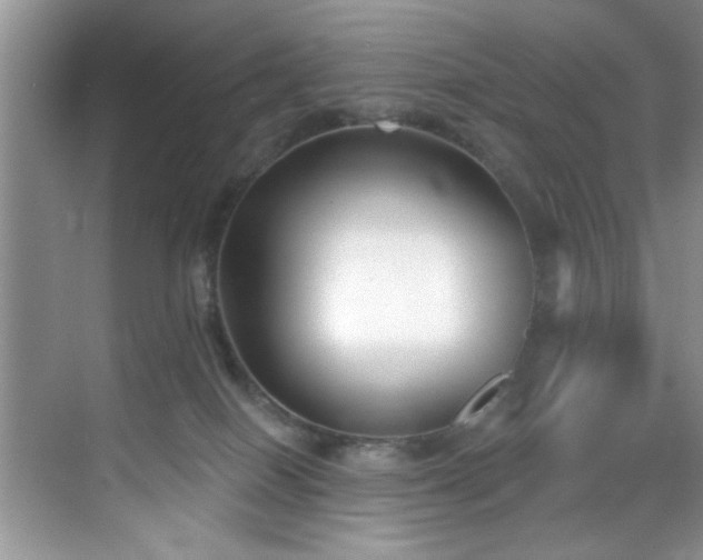 X0000070240086200606091346