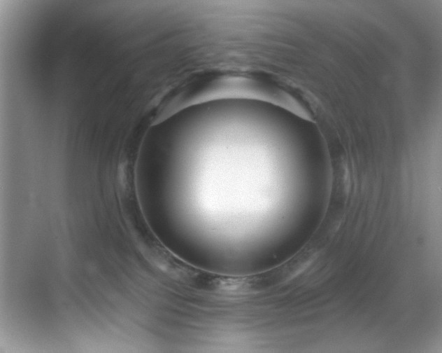 X0000070240088200606091346