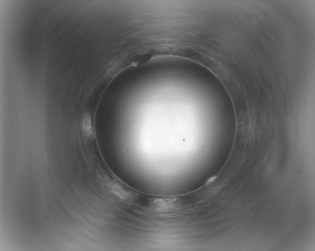 X0000070240089200606091346