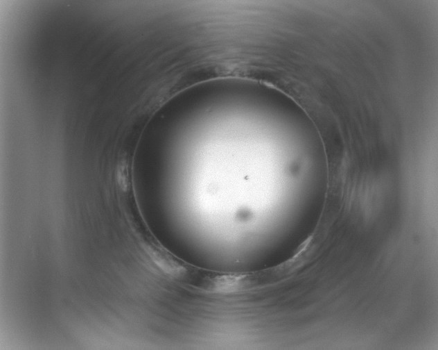 X0000070240090200606091346