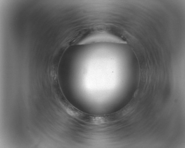 X0000070240091200606091346