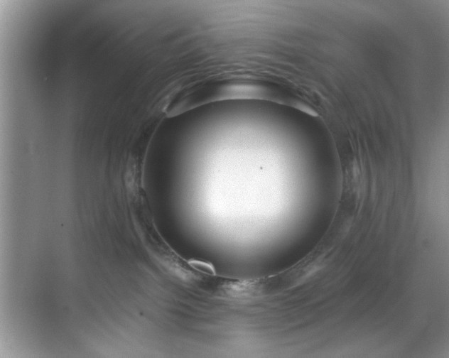 X0000070240092200606091346