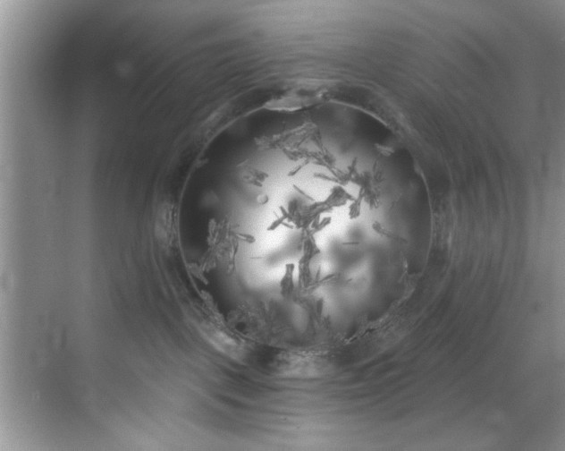 X0000070240093200606091346