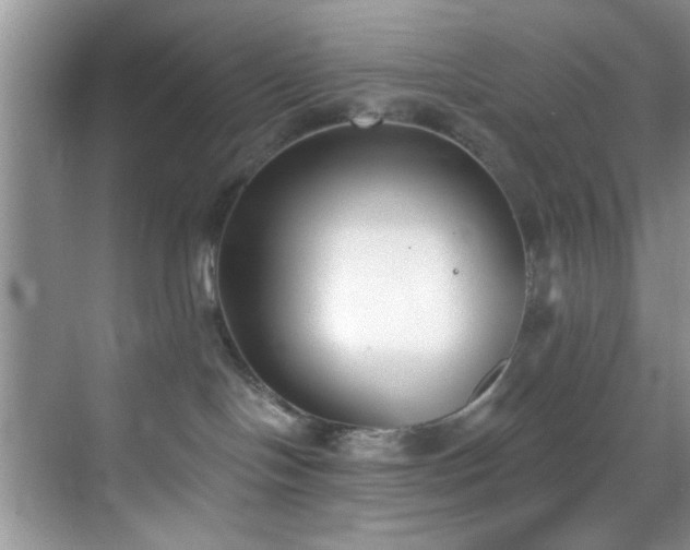 X0000070240094200606091346