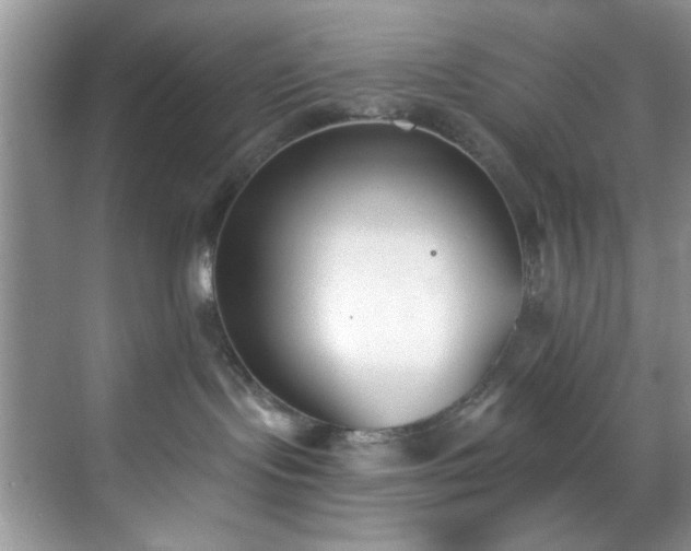 X0000070240095200606091346